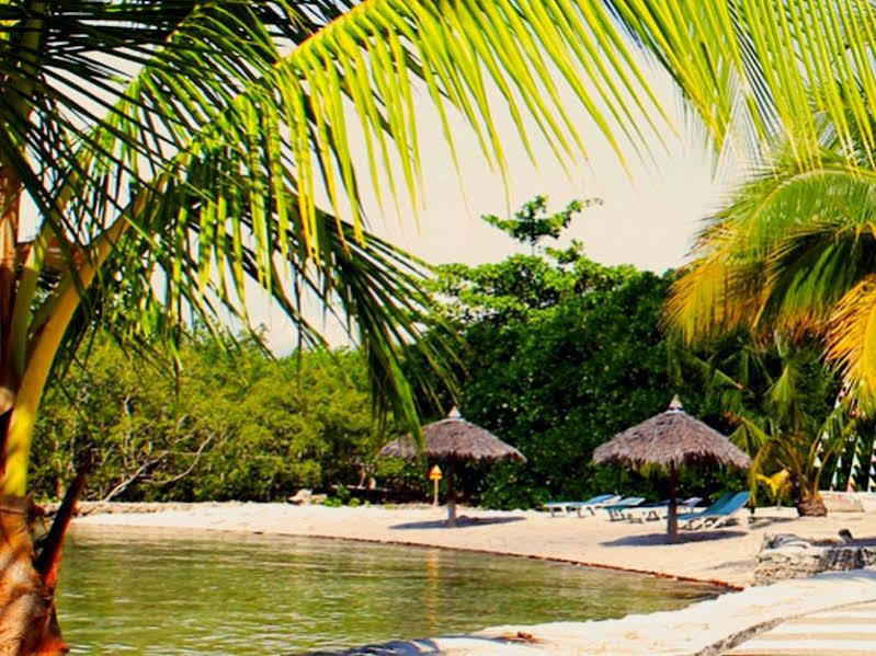 Whispering Palms Island Resort Bacolod Dış mekan fotoğraf