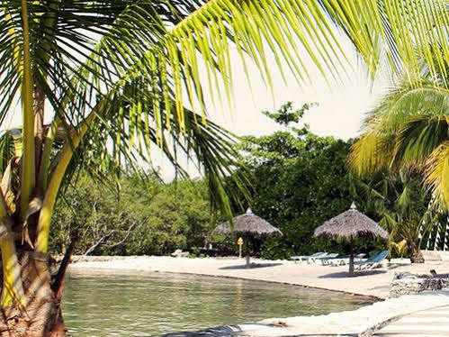 Whispering Palms Island Resort Bacolod Dış mekan fotoğraf